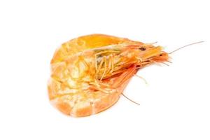 boiled prawn on white background photo