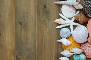 Sea shells on wooden background photo