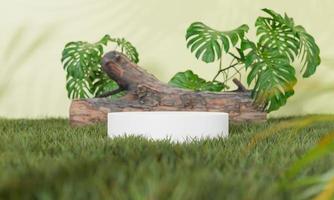 3d rendering Minimal modern product display on neutral background. podium and green leaves. Concept scene stage showcase for new product, promotion sale, banner, presentation, cosmetic photo