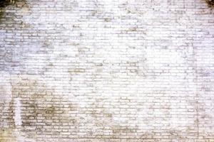 Texture of the ancient white bricks wall. photo