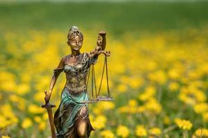 estatua de themis contra un césped de dientes de león. símbolo de justicia y ley, crimen y castigo. foto