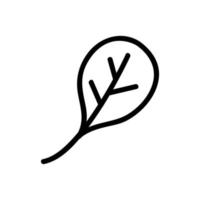 rucolla leaf icon vector outline illustration