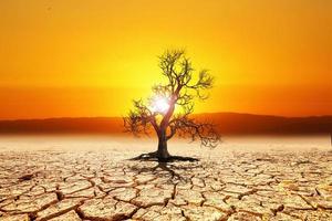 concept of global warming and climate environment change photo