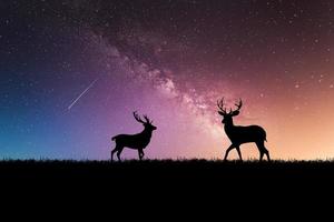 Night deer silhouette against the backdrop of the Milky Way. beautiful background images