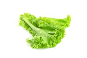 hoja de lechuga aislada en fondo blanco, patrón de hojas verdes, ingrediente de ensalada