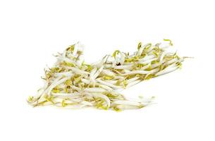 Bean Sprouts isolated on white background photo