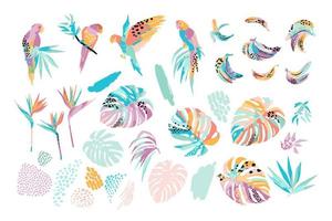 Vector illustrations of parrots, tropical leaves, bananas. Modern exotic design. Clipart, isolated elements.