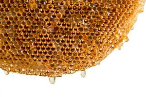honeycomb with honey.Selective focus photo