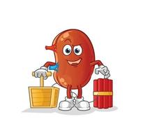 kidney cute vector