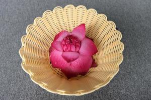 muy bonita flor de loto en una bonita maceta de mimbre. el loto en flor es muy bonito foto