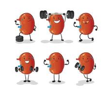 kidney mascot vector