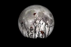 Halloween festival idea. Ghost of a dead tree with the moon in the background. photo