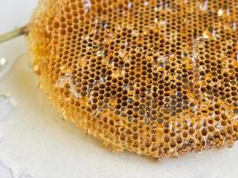 honeycomb with honey.Shallow depth of field. photo