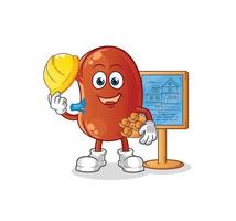 kidney cute vector