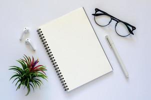 Notebook with earphone, spectacles, pen and air plant Tillandsia on white background. photo