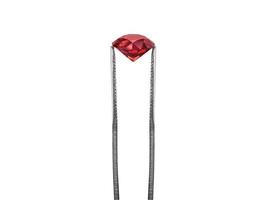 Dazzling diamond red on white background held in diamond tweezers. 3d render photo