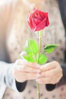 mujer dando un ramo de rosas rojas y blancas a alguien en el día de san valentín u otro evento del festival del amor - concepto de regalo del festival del amor foto