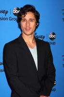 LOS ANGELES, AUG 4 - Peter Gadiot arrives at the ABC Summer 2013 TCA Party at the Beverly Hilton Hotel on August 4, 2013 in Beverly Hills, CA photo