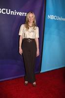 LOS ANGELES, JAN 15 - Anne Heche at the NBCUniversal Cable TCA Winter 2015 at a The Langham Huntington Hotel on January 15, 2015 in Pasadena, CA photo