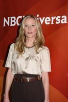 LOS ANGELES, JAN 15 - Anne Heche at the NBCUniversal Cable TCA Winter 2015 at a The Langham Huntington Hotel on January 15, 2015 in Pasadena, CA photo