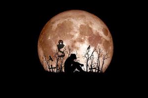 Halloween festival idea. Ghost of a dead tree with the moon in the background. photo