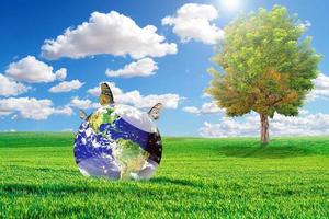 save the world concept Protect the environment. Meadow and the beautiful world photo