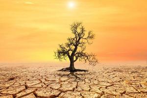 concept of global warming and climate environment change photo