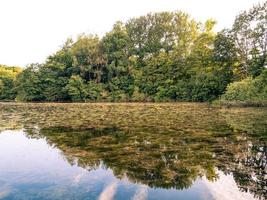 Symmetrical reflection of trees on the water surface. photo