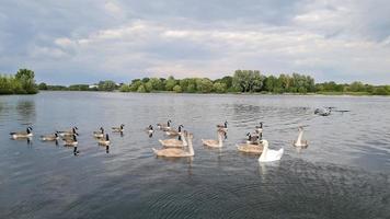 vista al lago caldecotte en milton keynes inglaterra foto