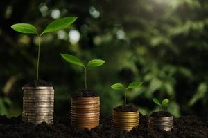 paso de crecimiento de plantas con pilas de monedas en la suciedad y el sol en la luz de la mañana de la naturaleza. concepto de ahorro de dinero. foto