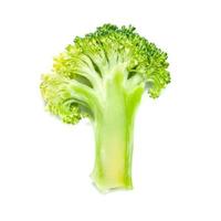 Fresh broccoli isolated on white background photo