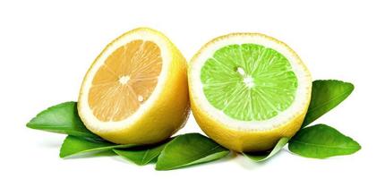 Lemon isolated on white background photo