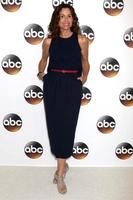 LOS ANGELES, AUG 4 - Minnie Driver at the ABC TCA Summer 2016 Party at the Beverly Hilton Hotel on August 4, 2016 in Beverly Hills, CA photo