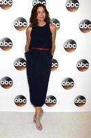 LOS ANGELES, AUG 4 - Minnie Driver at the ABC TCA Summer 2016 Party at the Beverly Hilton Hotel on August 4, 2016 in Beverly Hills, CA photo