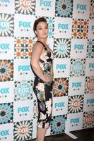 LOS ANGELES, JUL 20 - Virginia Kull at the FOX TCA July 2014 Party at the Soho House on July 20, 2014 in West Hollywood, CA photo