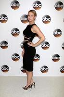 LOS ANGELES, AUG 4 - Iliza Shlesinger at the ABC TCA Summer 2016 Party at the Beverly Hilton Hotel on August 4, 2016 in Beverly Hills, CA photo