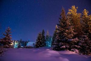 hermoso paisaje nocturno de invierno foto