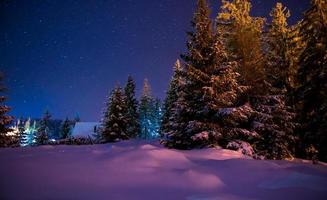 hermoso paisaje nocturno de invierno foto