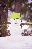 smiling snowman with green hat photo