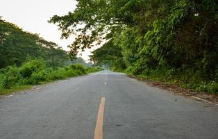 el camino pavimentado tiene una línea guía amarilla. rodeado de árboles verdes. hora de la tarde concepto de viaje Proteger el medio ambiente. foto