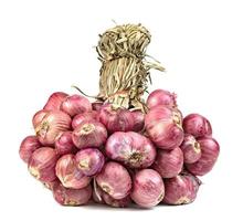 shallots onion isolated on a white background photo