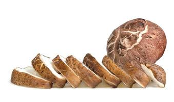 Shiitake Mushrooms sliced isolated on white background photo