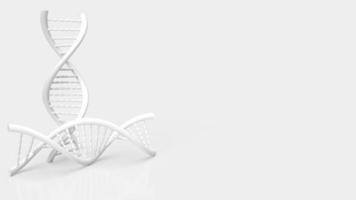 white dna on white background for science or medical  concept 3d rendering photo