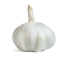 garlic isolated on white background ,include clipping path photo