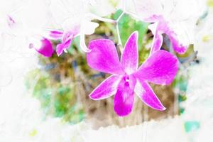 flores de orquídea rosa en el jardín foto