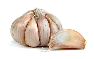 garlic isolated on white background photo