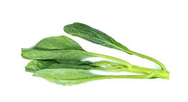 Chinese kale isolated on white background ,Green leaves of collards pattern photo