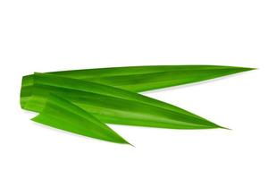 leaf Pandan isolated on white background ,Green leaves pattern  ,include clipping path photo