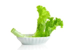 Lettuce leaf with bowl isolated on white background ,Green leaves pattern ,Salad ingredient ,include clipping path photo