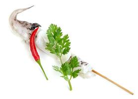 tentacles of squid with skewer isolated on white background photo